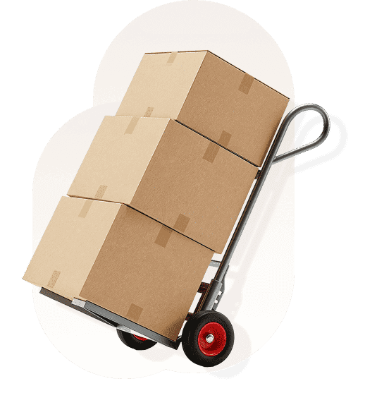 Packed and labelled cartons ready to move